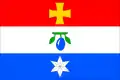 Flag of Borotín