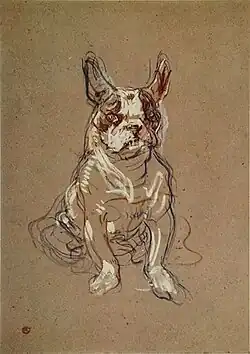 Sketch of a French bulldog sitting on its hind legs
