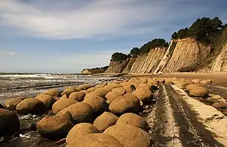 Image 46Concretions, by Mbz1 (from Wikipedia:Featured pictures/Sciences/Geology)