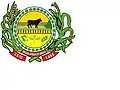 Flag of Brasilândia de Minas