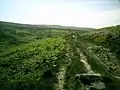 The Brontë Way crossing Brink Ends Moor