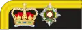 1856 to 1880 captain's rank insignia