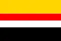 Flag of Brno-střed