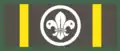 Bronze Wolf Award