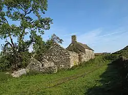 Bryn Gwyn