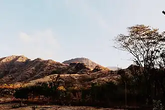 Savana (May 2020)