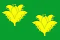 Flag of Bukvice