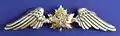 CAF pilot's wing, c. 1920, no hallmark on reverse. Custom gold and silver-plated by AVM A.E. Godfrey for his dress uniform