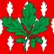 Flag of Chêne-Bourg