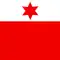 Flag of Dotzigen