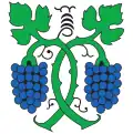 Flag of Jenins