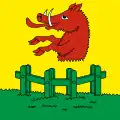 Flag of Morschach