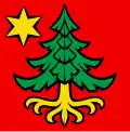 Flag of Trachselwald District