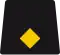 Specialist officer
