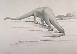 Diplodocus