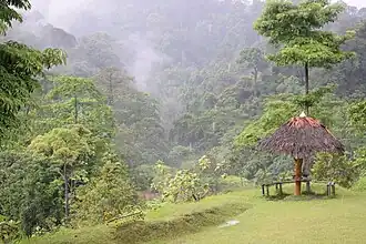 Bukit Tiga Puluh National Park
