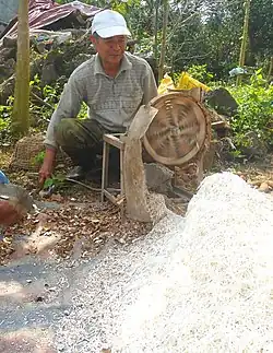Grating of tuberous roots