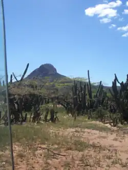 Cerro La Teta, northern municipality of Uribia - Guajira Desert