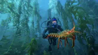 Anacapa