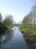 River Chelmer near Little Baddow