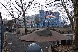 Dog Run
