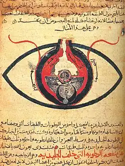 Image 32The eye according to Hunayn ibn Ishaq, c. 1200 (from Science in the medieval Islamic world)