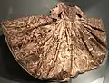 Child's embroidered dress