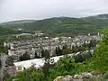 "Cholakovtsi"