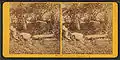Derelict church yard - Stereoscopic image by Kilburn brothers.