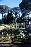 The Rose Terrace