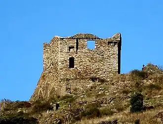 Ruins of the chateau