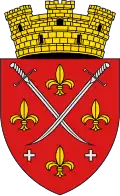Official seal of Florești