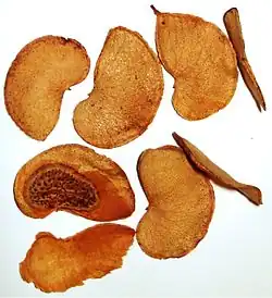 The fruit are pods containing one seed each
