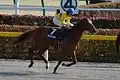 2014 Hyacinth Stakes