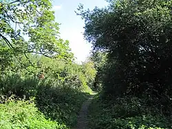 Coppetts Wood path