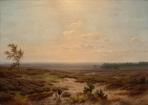 Heathland in Guelders