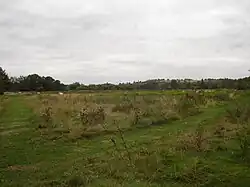 Cornmill Meadows