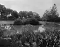 Artificial pond