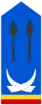 Lieutenant (Land Forces of the DR Congo)