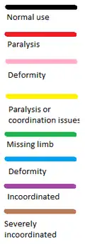 Colour guide for understanding full body diagrams