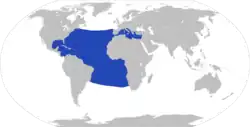 Distribution of Tremoctopus violaceus