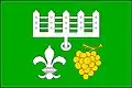 Flag of Diváky