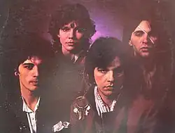 Divlji Anđeli in 1982