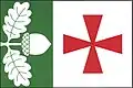 Flag of Dolní Dubňany