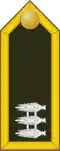 Captain