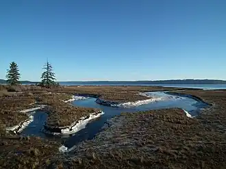 Shoreline