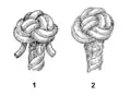 Double wall and crown