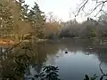 St Leonard's Park Ponds