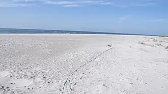 Dueodde beach