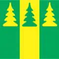 Flag of Surju Parish